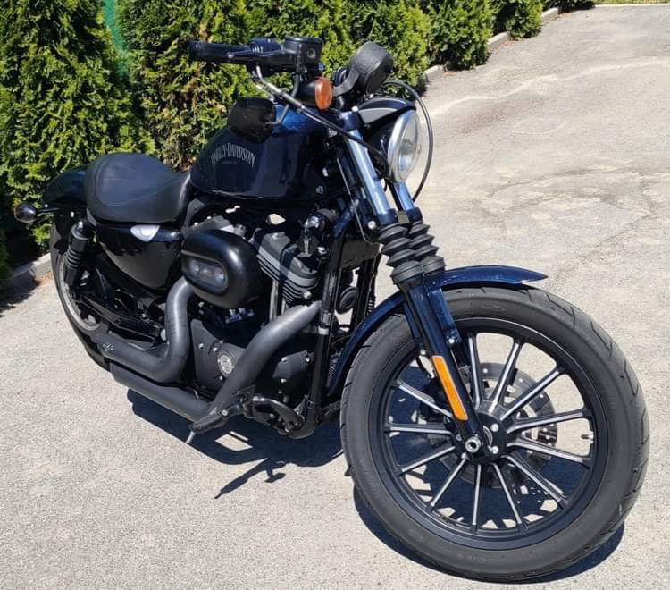 Harley Davidson Sporster Iron 883