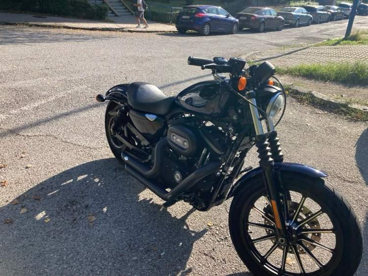 Harley Davidson Sporster Iron 883