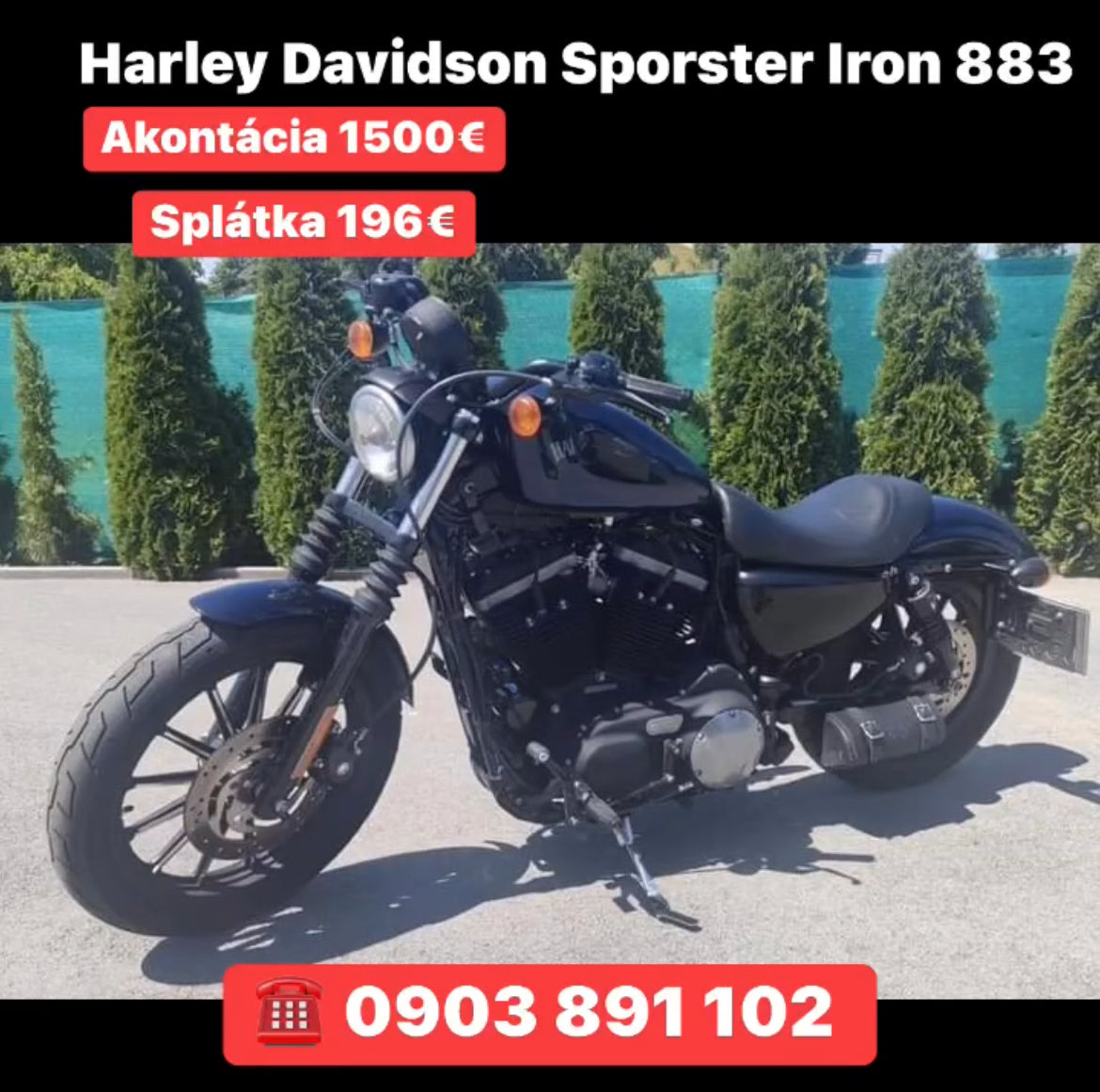 Harley Davidson Sporster Iron 883